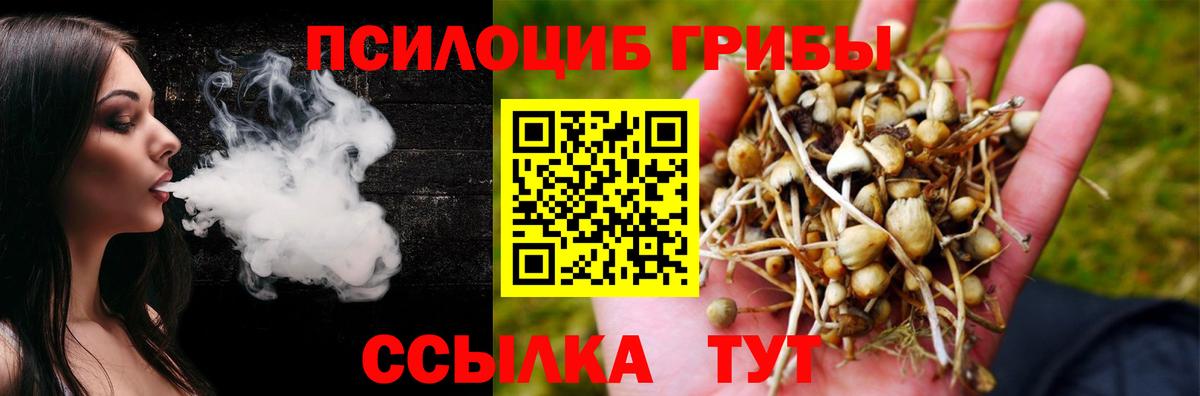 Псилоцибиновые грибы MAGIC MUSHROOMS  Вход с VPN  где купить   Магадан 